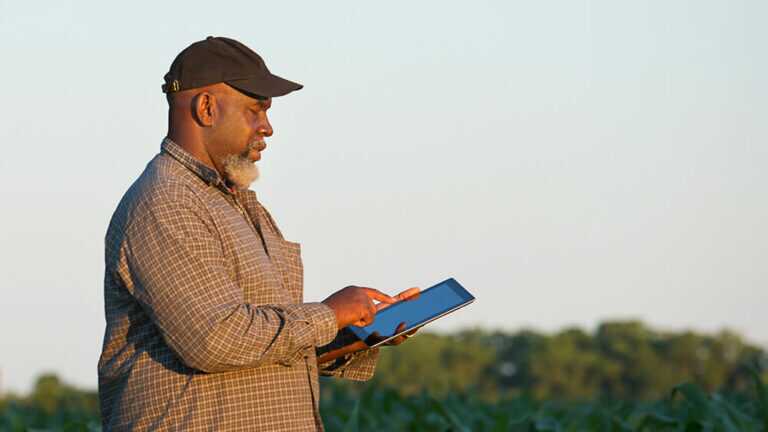 A man in the middle of his crops viewing a tablet device with the sunset shinning above him